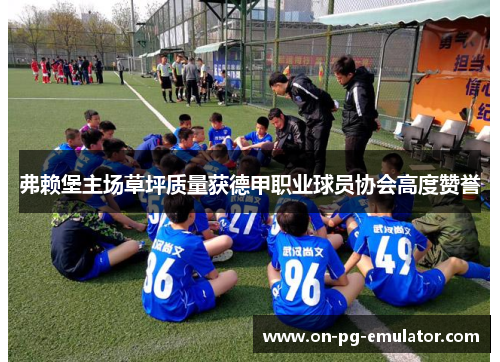 弗赖堡主场草坪质量获德甲职业球员协会高度赞誉