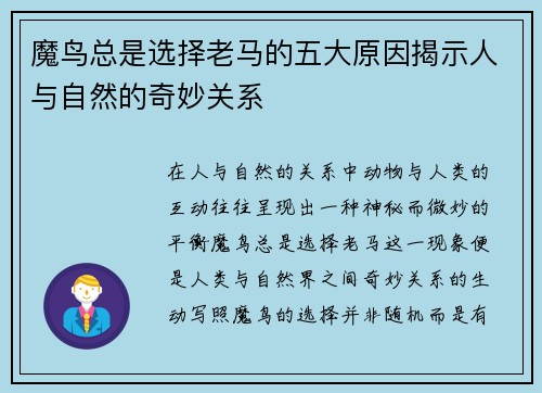 魔鸟总是选择老马的五大原因揭示人与自然的奇妙关系